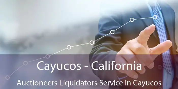 Cayucos - California Auctioneers Liquidators Service in Cayucos