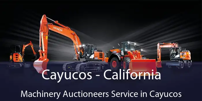 Cayucos - California Machinery Auctioneers Service in Cayucos