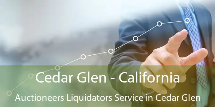 Cedar Glen - California Auctioneers Liquidators Service in Cedar Glen