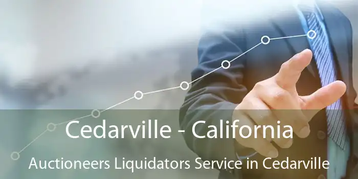 Cedarville - California Auctioneers Liquidators Service in Cedarville