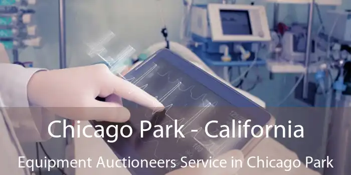 Chicago Park - California Equipment Auctioneers Service in Chicago Park