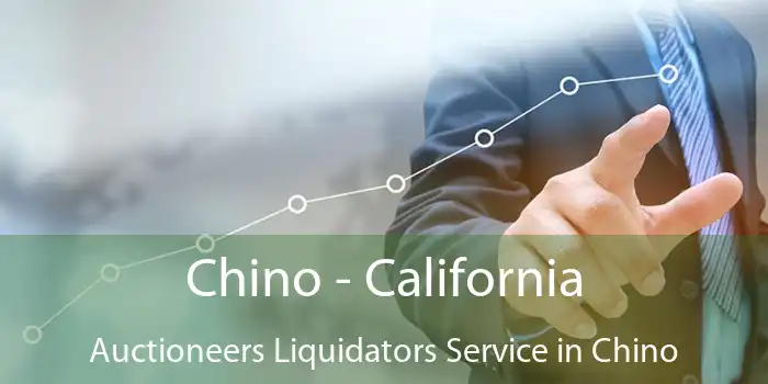 Chino - California Auctioneers Liquidators Service in Chino