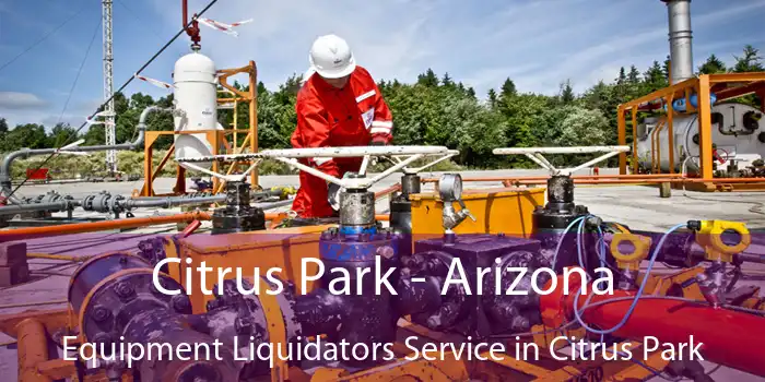 Citrus Park - Arizona Equipment Liquidators Service in Citrus Park