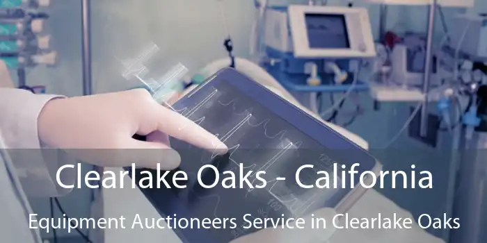 Clearlake Oaks - California Equipment Auctioneers Service in Clearlake Oaks