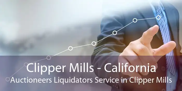 Clipper Mills - California Auctioneers Liquidators Service in Clipper Mills