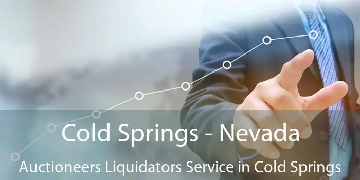 Cold Springs - Nevada Auctioneers Liquidators Service in Cold Springs