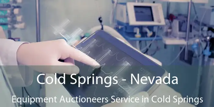 Cold Springs - Nevada Equipment Auctioneers Service in Cold Springs