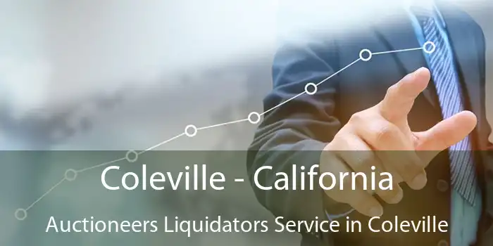 Coleville - California Auctioneers Liquidators Service in Coleville