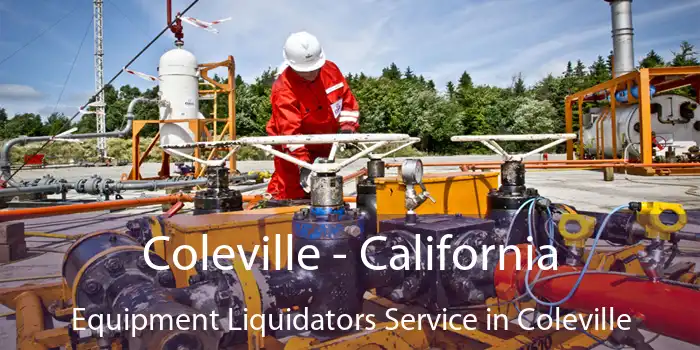 Coleville - California Equipment Liquidators Service in Coleville