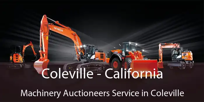 Coleville - California Machinery Auctioneers Service in Coleville