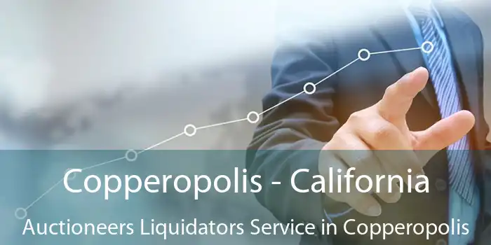 Copperopolis - California Auctioneers Liquidators Service in Copperopolis