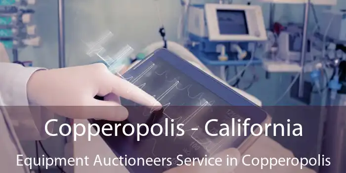 Copperopolis - California Equipment Auctioneers Service in Copperopolis