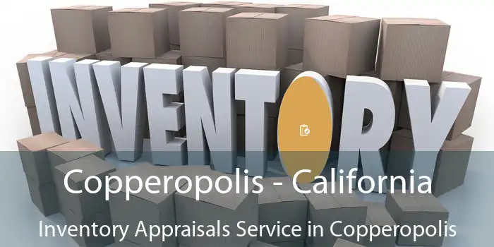 Copperopolis - California Inventory Appraisals Service in Copperopolis