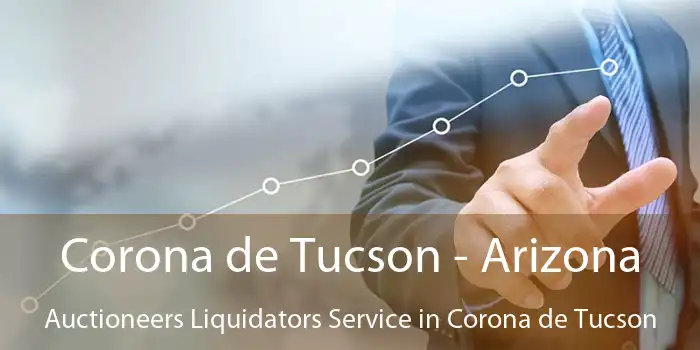 Corona de Tucson - Arizona Auctioneers Liquidators Service in Corona de Tucson