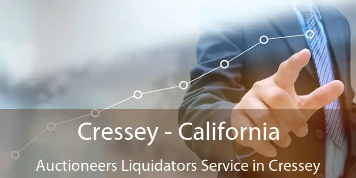 Cressey - California Auctioneers Liquidators Service in Cressey