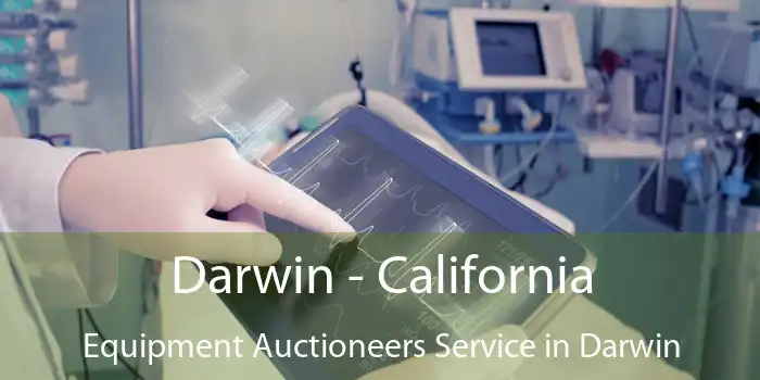 Darwin - California Equipment Auctioneers Service in Darwin