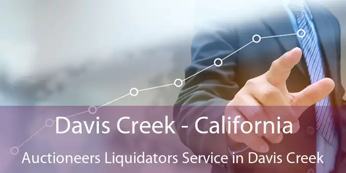 Davis Creek - California Auctioneers Liquidators Service in Davis Creek