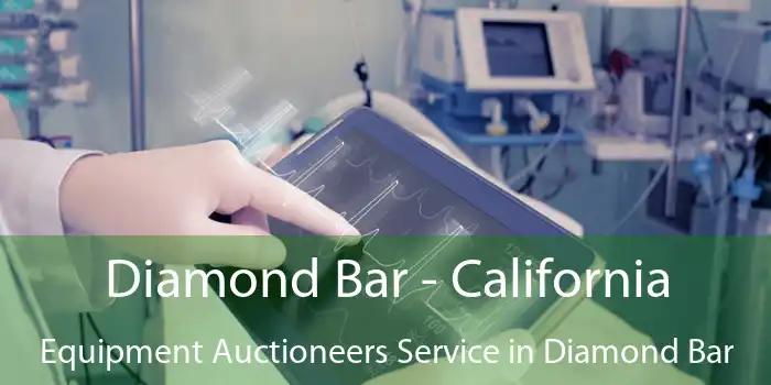 Diamond Bar - California Equipment Auctioneers Service in Diamond Bar