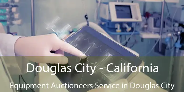 Douglas City - California Equipment Auctioneers Service in Douglas City