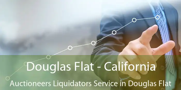 Douglas Flat - California Auctioneers Liquidators Service in Douglas Flat