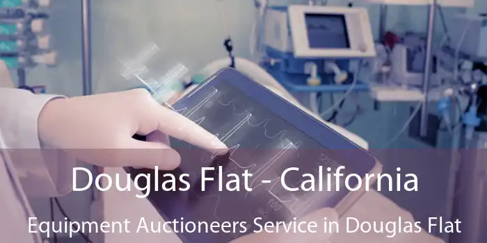 Douglas Flat - California Equipment Auctioneers Service in Douglas Flat