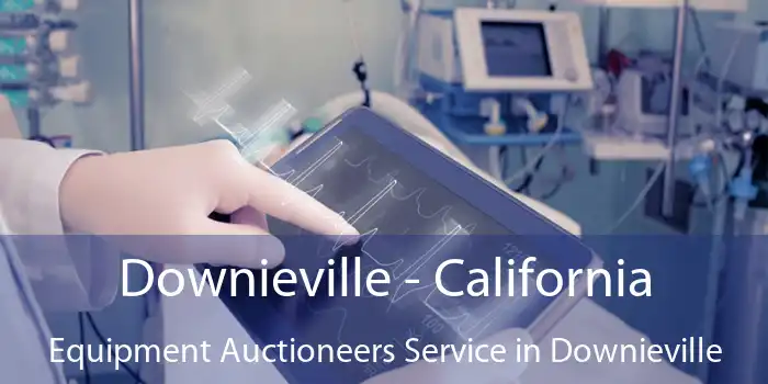 Downieville - California Equipment Auctioneers Service in Downieville