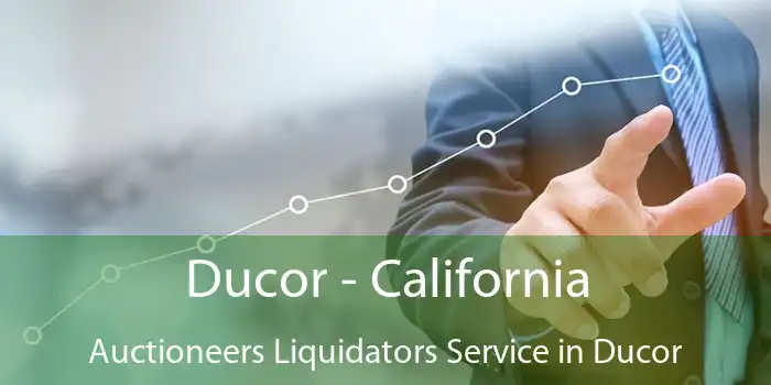 Ducor - California Auctioneers Liquidators Service in Ducor