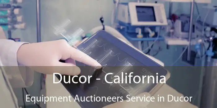 Ducor - California Equipment Auctioneers Service in Ducor