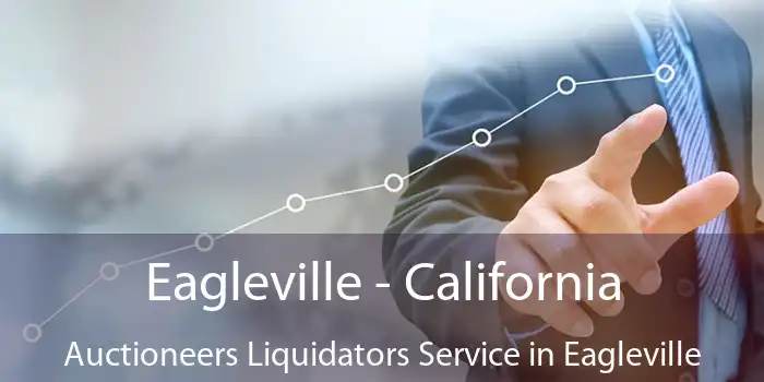 Eagleville - California Auctioneers Liquidators Service in Eagleville