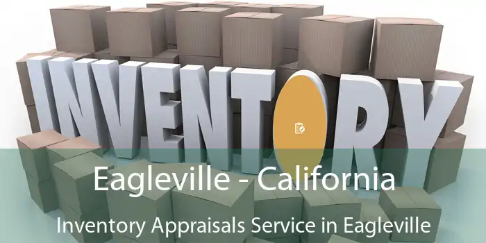 Eagleville - California Inventory Appraisals Service in Eagleville