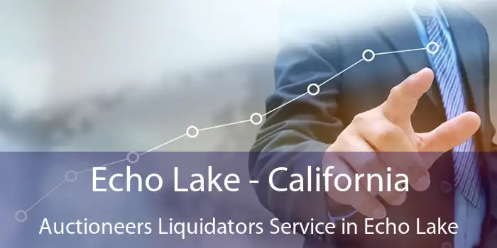 Echo Lake - California Auctioneers Liquidators Service in Echo Lake