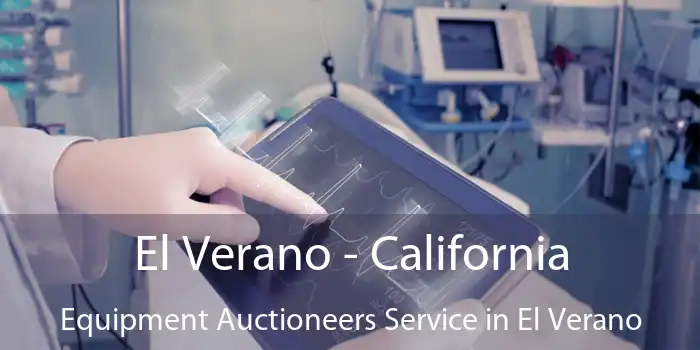 El Verano - California Equipment Auctioneers Service in El Verano