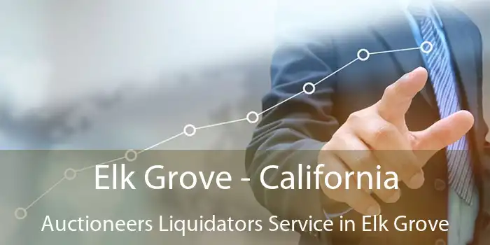 Elk Grove - California Auctioneers Liquidators Service in Elk Grove