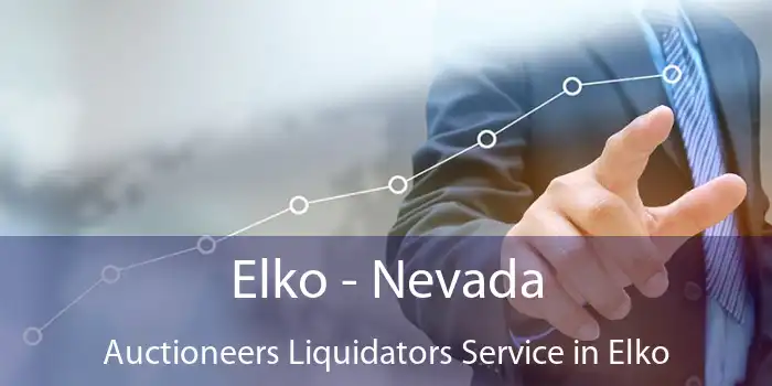 Elko - Nevada Auctioneers Liquidators Service in Elko