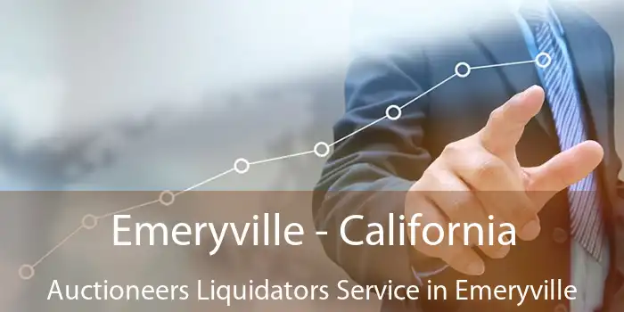 Emeryville - California Auctioneers Liquidators Service in Emeryville