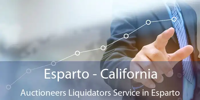 Esparto - California Auctioneers Liquidators Service in Esparto