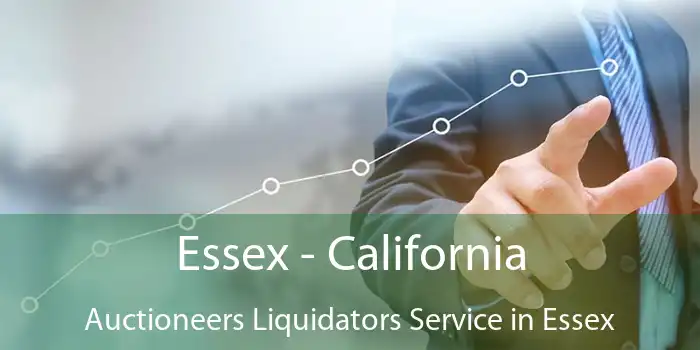 Essex - California Auctioneers Liquidators Service in Essex