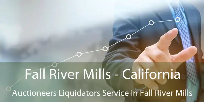 Fall River Mills - California Auctioneers Liquidators Service in Fall River Mills