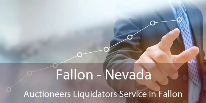 Fallon - Nevada Auctioneers Liquidators Service in Fallon