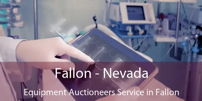 Fallon - Nevada Equipment Auctioneers Service in Fallon