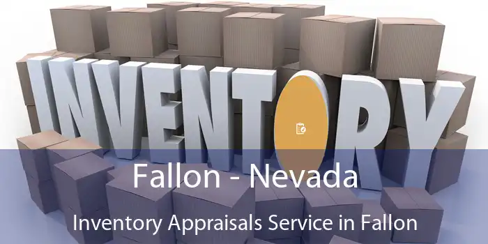 Fallon - Nevada Inventory Appraisals Service in Fallon