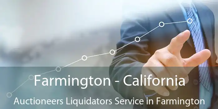 Farmington - California Auctioneers Liquidators Service in Farmington