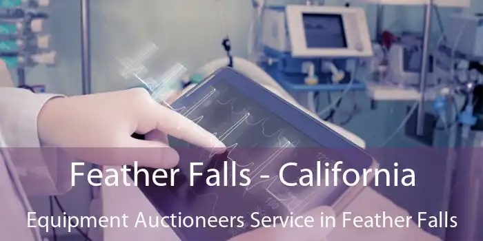 Feather Falls - California Equipment Auctioneers Service in Feather Falls