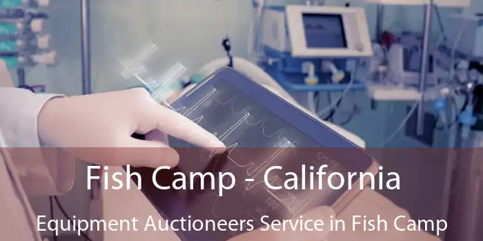 Fish Camp - California Equipment Auctioneers Service in Fish Camp