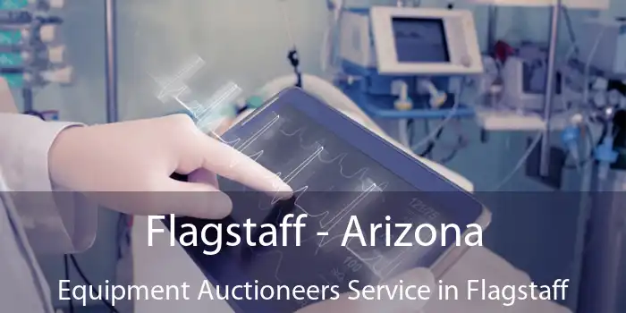 Flagstaff - Arizona Equipment Auctioneers Service in Flagstaff