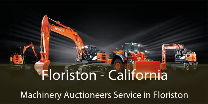 Floriston - California Machinery Auctioneers Service in Floriston