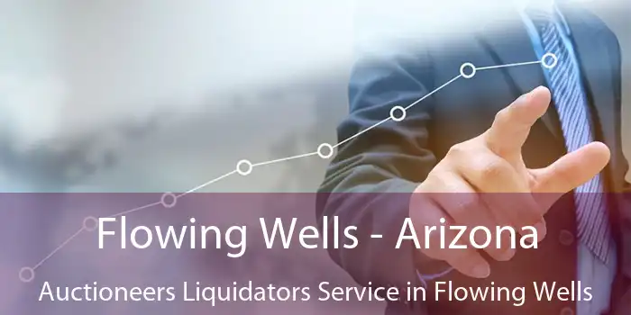 Flowing Wells - Arizona Auctioneers Liquidators Service in Flowing Wells