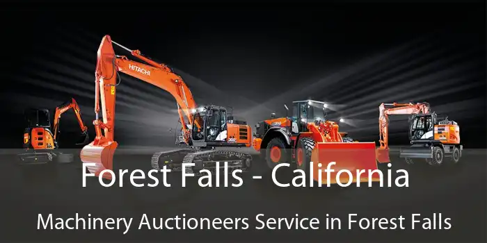 Forest Falls - California Machinery Auctioneers Service in Forest Falls