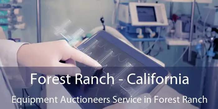 Forest Ranch - California Equipment Auctioneers Service in Forest Ranch