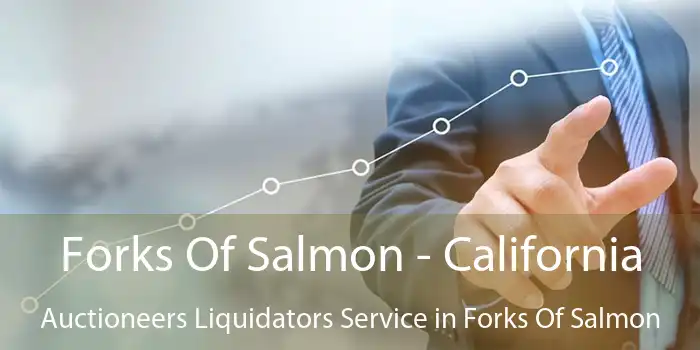 Forks Of Salmon - California Auctioneers Liquidators Service in Forks Of Salmon